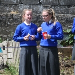 St. Munchin's Community Allotments Party at St Munchins Community Centre, Ballynanty, Thursday, June 14th, 2018. Picture: Sophie Goodwin/ilovelimerick.