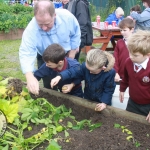 St. Munchin's Community Allotments Party at St Munchins Community Centre, Ballynanty, Thursday, June 14th, 2018. Picture: Sophie Goodwin/ilovelimerick.