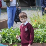 St. Munchin's Community Allotments Party at St Munchins Community Centre, Ballynanty, Thursday, June 14th, 2018. Picture: Sophie Goodwin/ilovelimerick.
