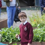 St. Munchin's Community Allotments Party at St Munchins Community Centre, Ballynanty, Thursday, June 14th, 2018. Picture: Sophie Goodwin/ilovelimerick.