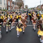 Limerick St Patricks Day 2026. Picture: Richard Lynch/ilovelimerick