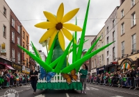 dolf_patijn_limerick_stpatricksday_17032014_0268