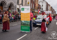 dolf_patijn_limerick_stpatricksday_17032014_0270