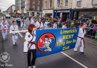 dolf_patijn_limerick_stpatricksday_17032014_0293