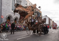 dolf_patijn_limerick_stpatricksday_17032014_0351