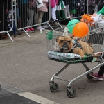 St Patricks Day Parade 2018. Picture: Ciara Maria Hayes for ilovelimerick 2018. All Rights Reserved.