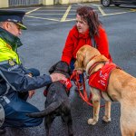 Team Limerick Clean-Up (TLC) returned better than ever for its 11th year on Friday 3rd April with over 24,000 volunteers across the city and county taking part.  Picture: Olena Oleksienko/ilovelimerick