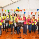 A record-breaking 23,500 volunteers took to the streets of Limerick City & County  for the 10th edition of Team Limerick Clean-Up (TLC) – Europe’s largest one-day tidy-up. Picture: Olena Oleksienko/ilovelimerick