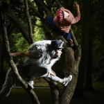 rsz_mateusz_szczerek_and_ivonne_kalter_in_coiscéim_dance_theatres_the_wolf_and_peter_by_david_bolger_photo_ros_kavanagh_17