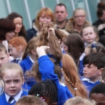 Thomond Primary School New School Extension. Picture: Sophie Goodwin/ilovelimerick 2018. All Rights Reserved