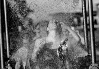 IMG_7080