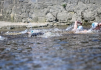 Thomond Swim - 2015