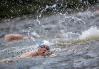 Thomond Swim - 2015