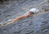 Thomond Swim - 2015