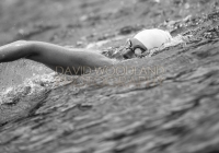 Thomond Swim - 2015