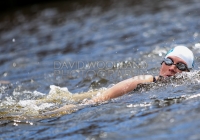 Thomond Swim - 2015