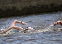 Thomond Swim - 2015