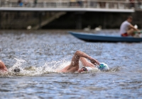 Thomond Swim - 2015