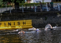 Thomond Swim - 2015