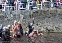 Thomond Swim - 2015