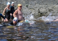 Thomond Swim - 2015