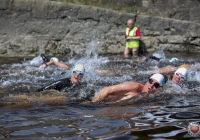 Thomond Swim - 2015