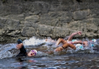 Thomond Swim - 2015