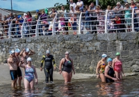 Thomond Swim - 2015