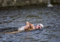 Thomond Swim - 2015