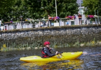 Thomond Swim - 2015