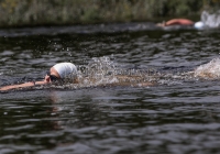 Thomond Swim - 2015