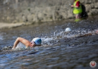 Thomond Swim - 2015