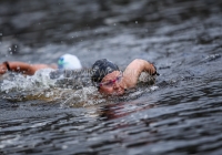 Thomond Swim - 2015