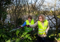 03.04.15 Â  Â  REPRO FREEÂ  Â  Â  Â  Â  Â Â 
Paul O'Connell, AP McCoy and JP McManus kick-start the Team Limerick Clean Up (TLC).Â Over 10,000 Volunteers hit the streets of Limerick City and County for the Country's biggest ever Clean Up. 

Team Limerick Clean-Up volunteers Jan O'Sullivan TD Minister for Education and Skills and Jo O'Brien. Picture: Alan Place/FusionShooters.