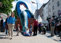 TomCat Street Festival 2014 (11)