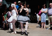 TomCat Street Festival 2014 (20)