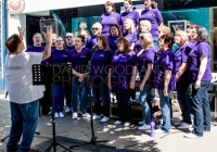 TomCat Street Festival 2014 (6)