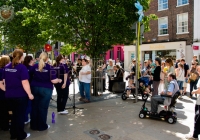 TomCat Street Festival 2014 (8)