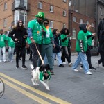 University of Limerick illustrated the cultural diversity of its student community by taking part in this year’s St Patrick’s Day Parade 2025. Picture: Cian Reinhardt