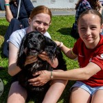 Villiers School Annual Garden Fete delivered a day of entertainment, treats, and tail-wagging excitement for all ages this Sunday, May 11, 2025. Picture: Olena Oleksienko/ilovelimerick