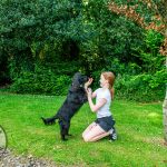 Villiers School Annual Garden Fete delivered a day of entertainment, treats, and tail-wagging excitement for all ages this Sunday, May 11, 2025. Picture: Olena Oleksienko/ilovelimerick