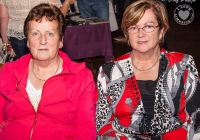 dolf_patijn_ilovelimerick_westfest_ncw_11092013_0047