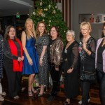 Women’s Shed Limerick Little Women’s Christmas party 2023 at the Clayton Hotel Limerick was a celebration of friendship. Picture: Olena Oleksienko/ilovelimerick