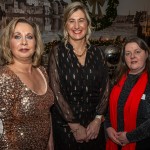 Women’s Shed Limerick Little Women’s Christmas party 2023 at the Clayton Hotel Limerick was a celebration of friendship. Picture: Olena Oleksienko/ilovelimerick